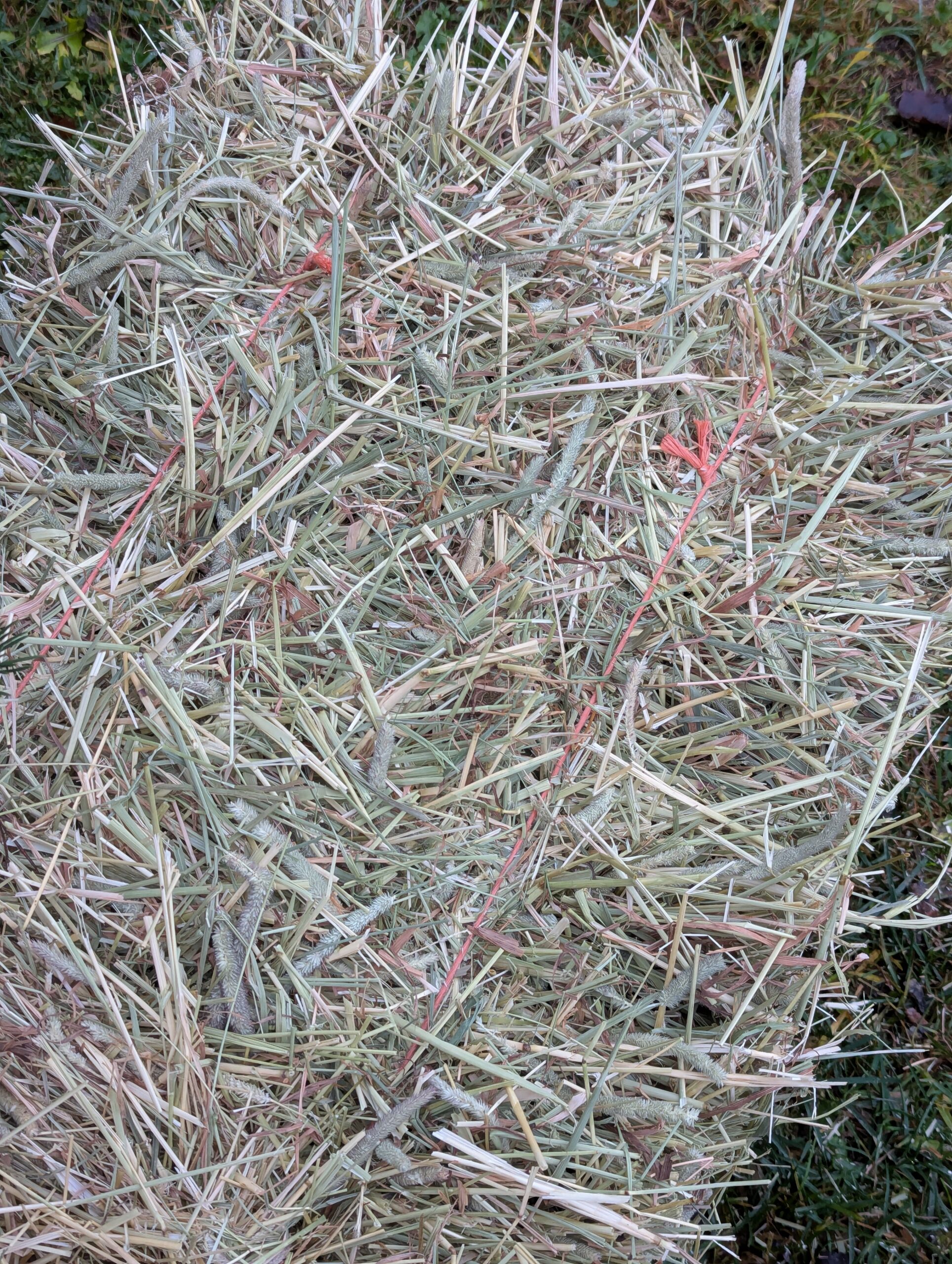 Heinää kakkoslaatu