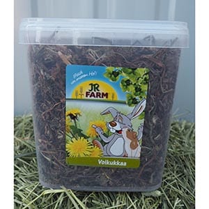 jr voikukkaämpäri 5l