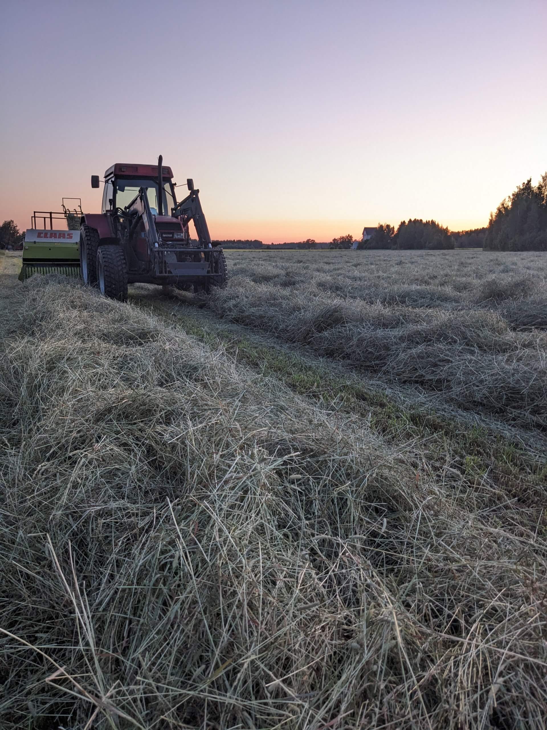Heinäkaupan heinää