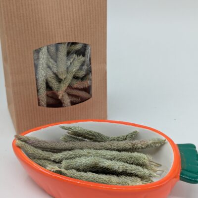 Heinäkaupan timoteintähkät